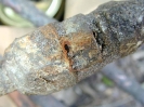 Galvanized Pipe Failure at Couplings