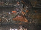 Large Storm Sewer Culvert Pipe Corrosion Perforation